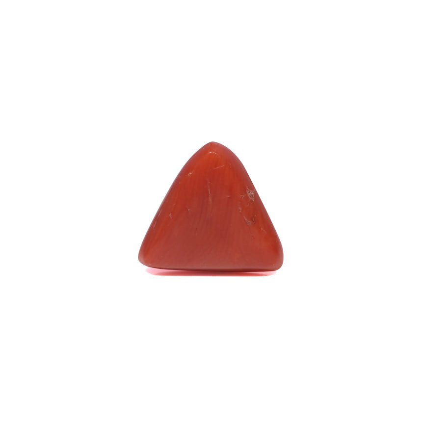 Red Coral - 3.9 Carat
