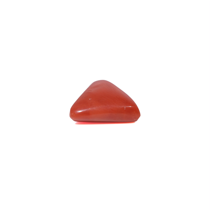 Red Coral - 3.9 Carat