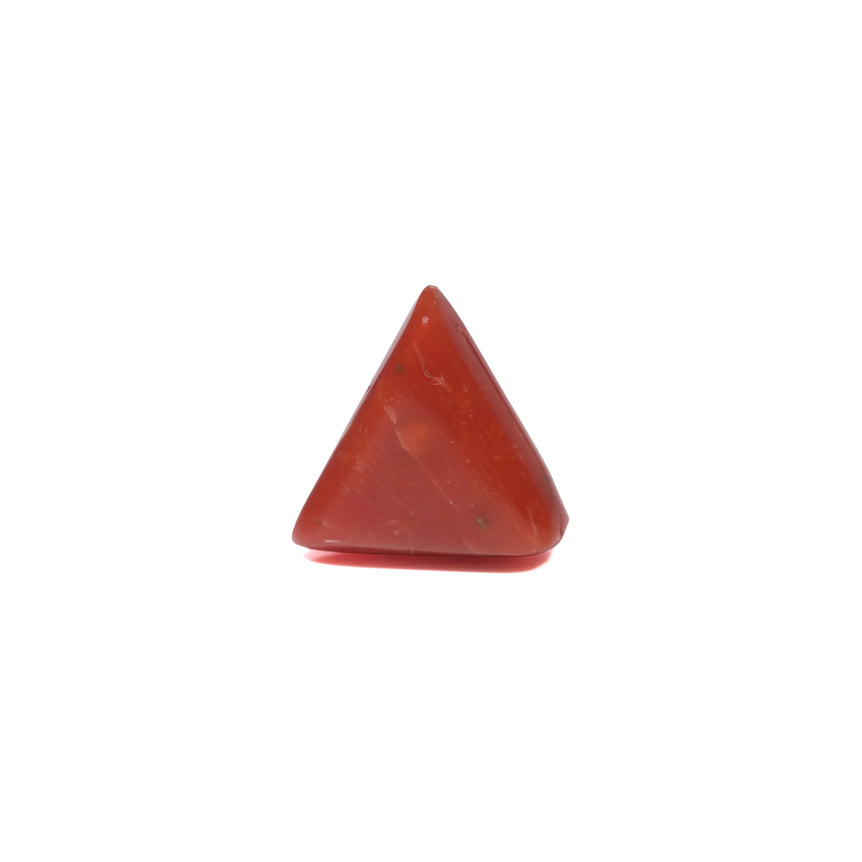 Red Coral - 3.72 Carat