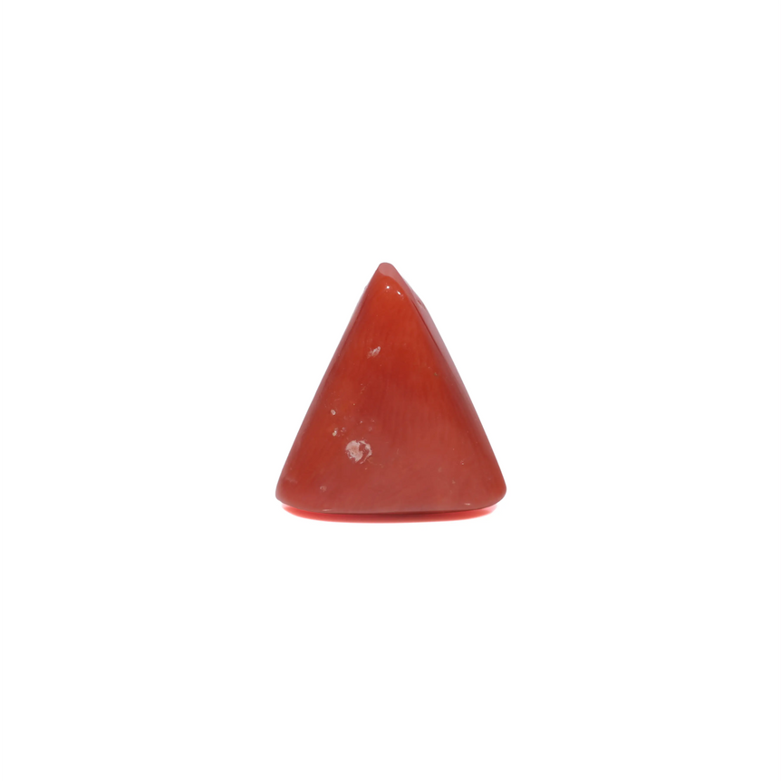 Red Coral - 3.95 Carat