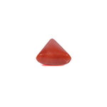 Red Coral - 3.95 Carat