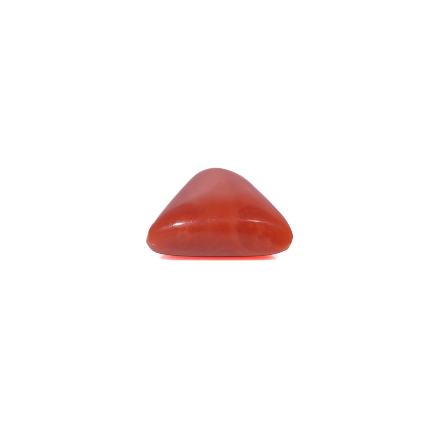 Red Coral - 3.5 Carat