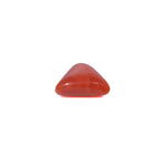 Red Coral - 3.5 Carat