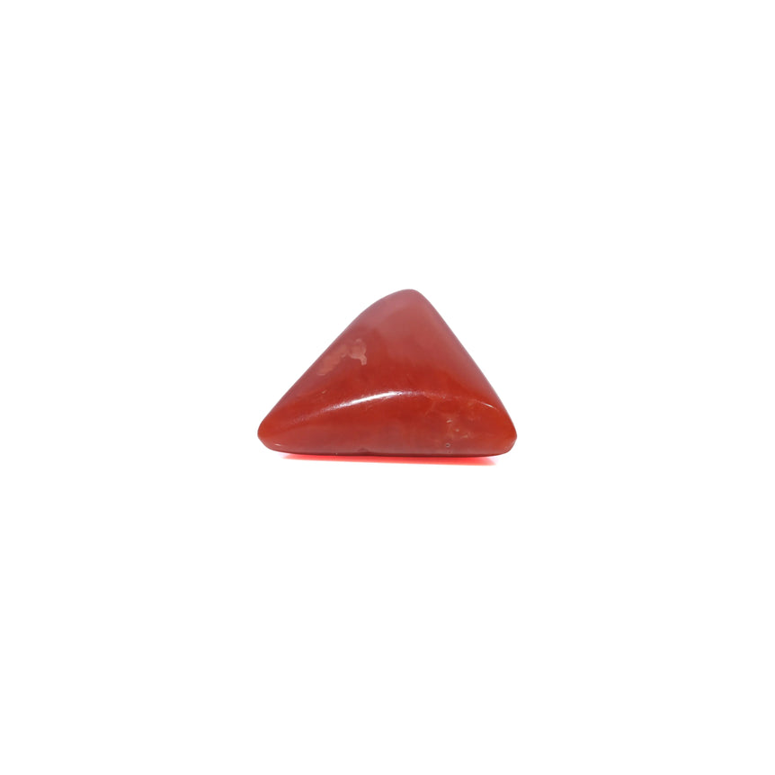 Red Coral - 3.88 Carat