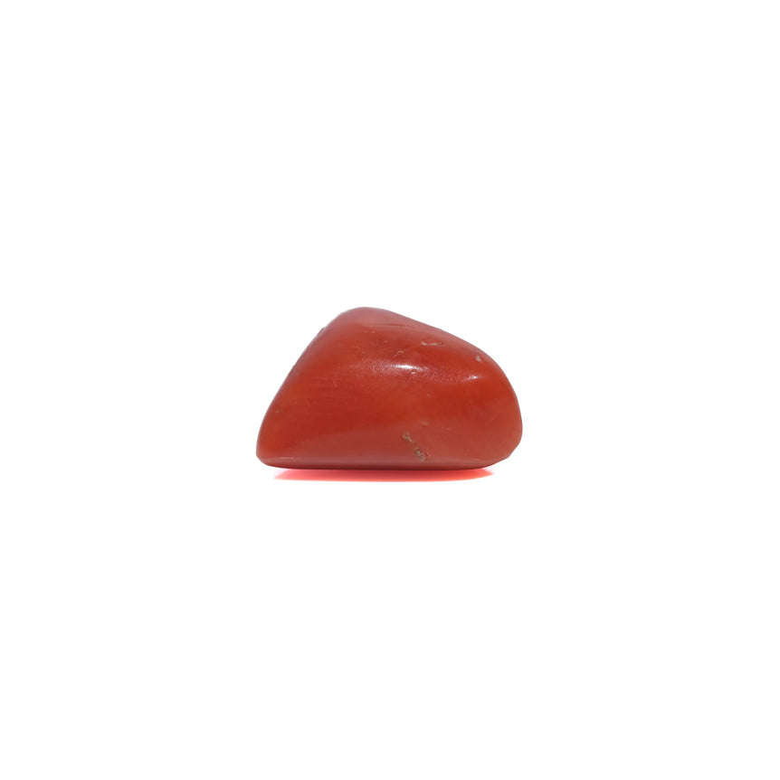 Red Coral - 3.6 Carat