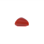 Red Coral - 3.63 Carat