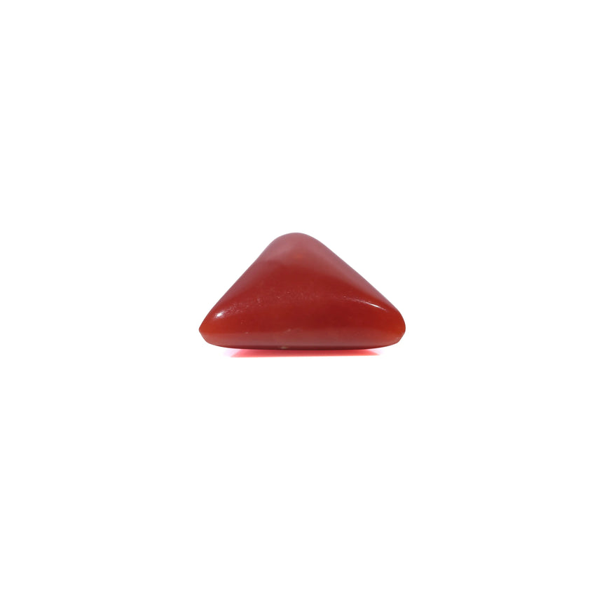 Red Coral - 3.6 Carat