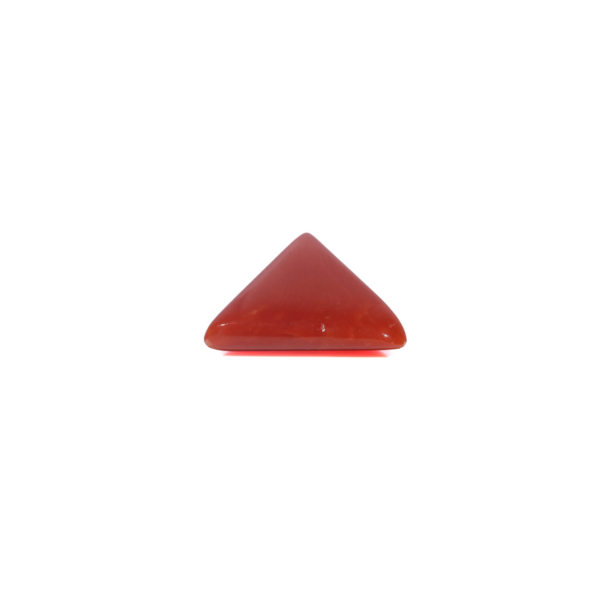 Red Coral - 3.65 Carat