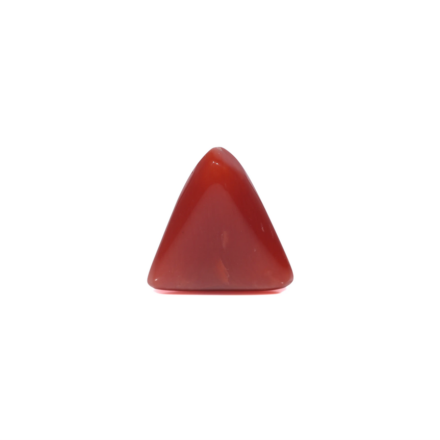 Red Coral - 3.8 Carat