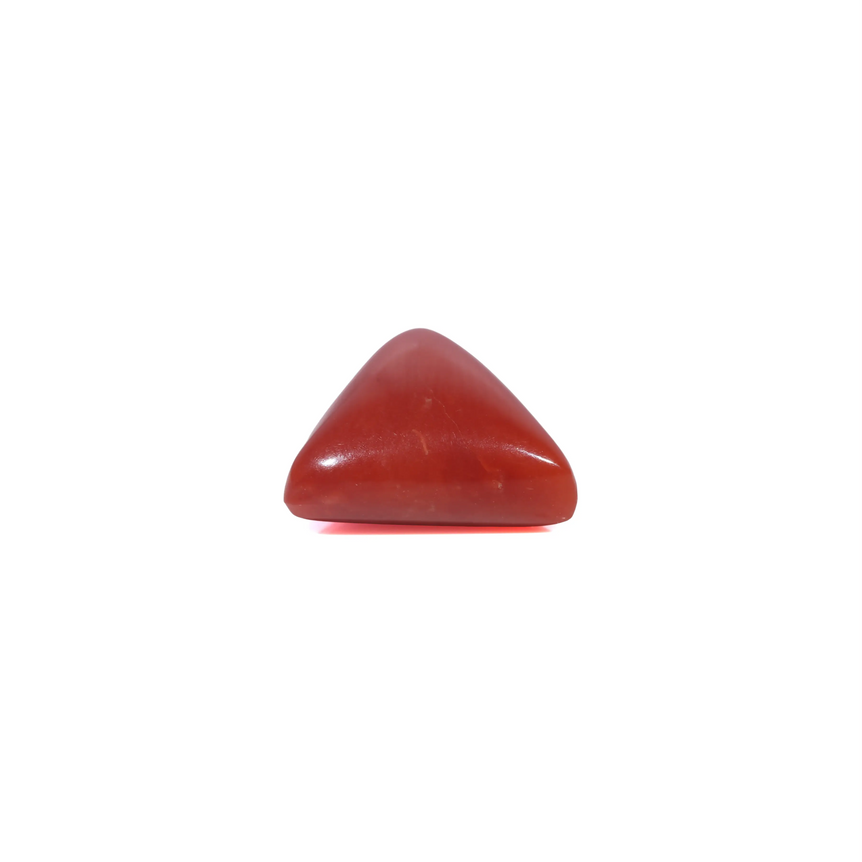 Red Coral - 3.9 Carat