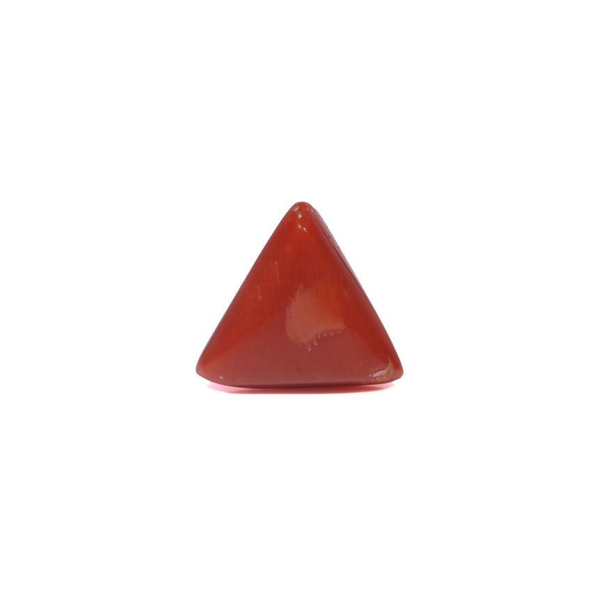 Red Coral - 3.6 Carat