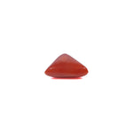 Red Coral - 3.6 Carat