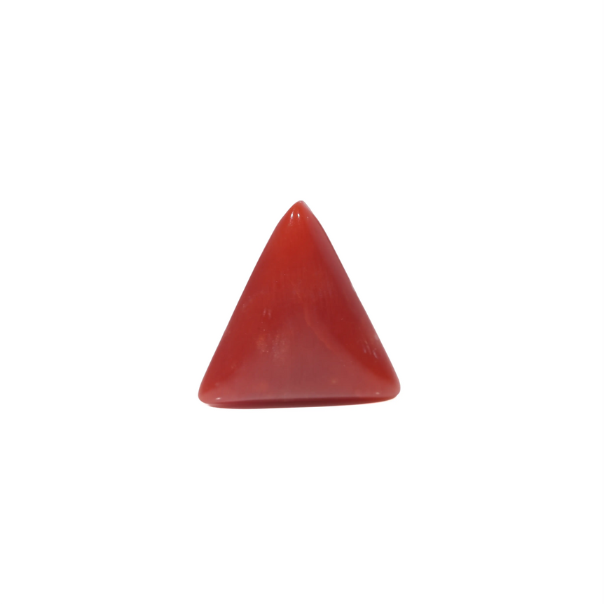 Red Coral - 3.9 Carat