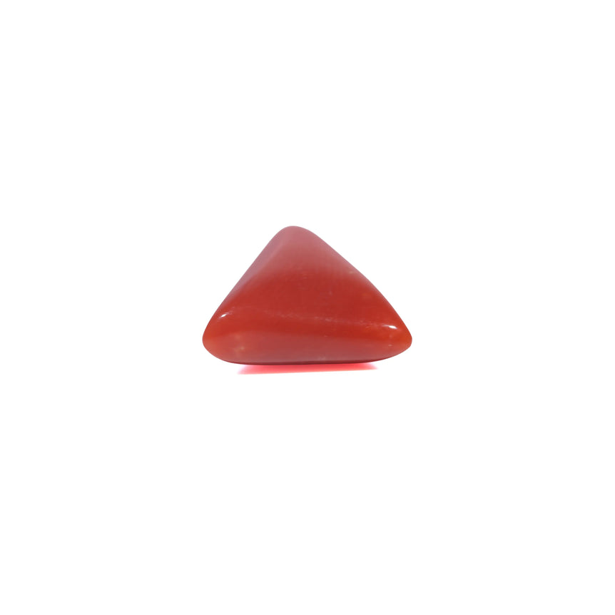 Red Coral - 3.9 Carat