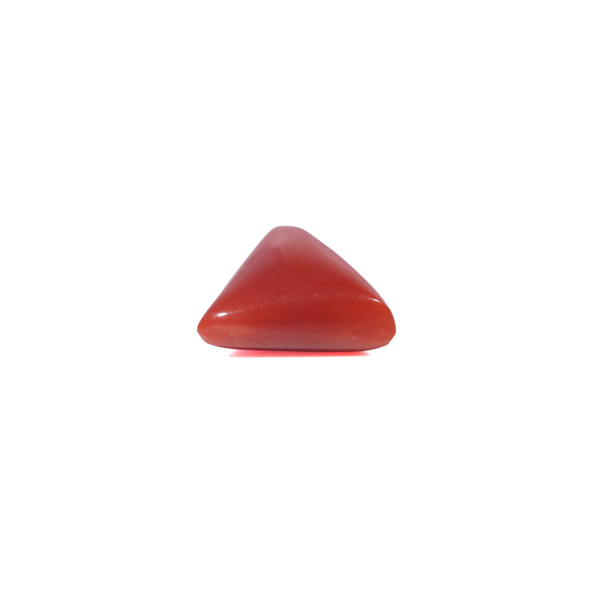 Red Coral - 3.78 Carat