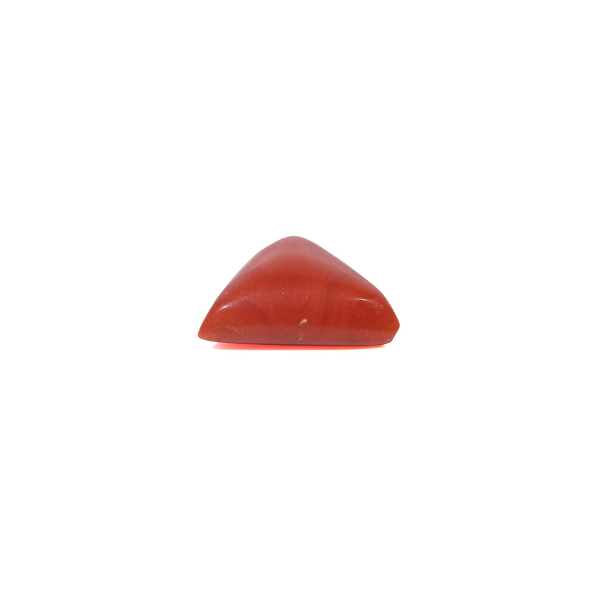 Red Coral - 3.6 Carat