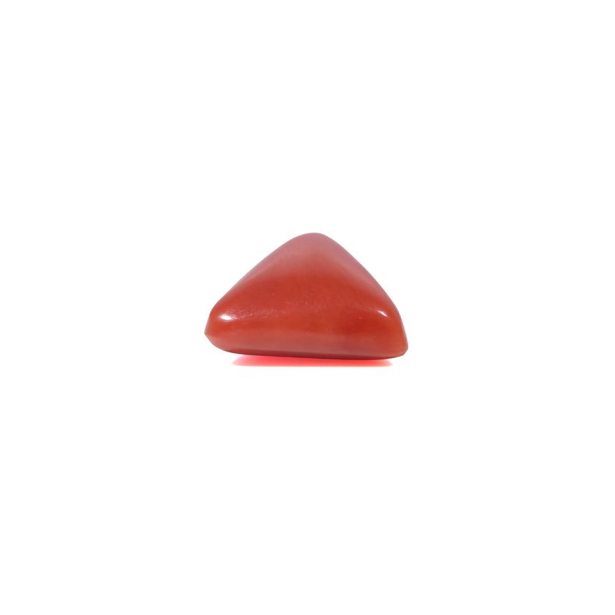 Red Coral - 3.6 Carat
