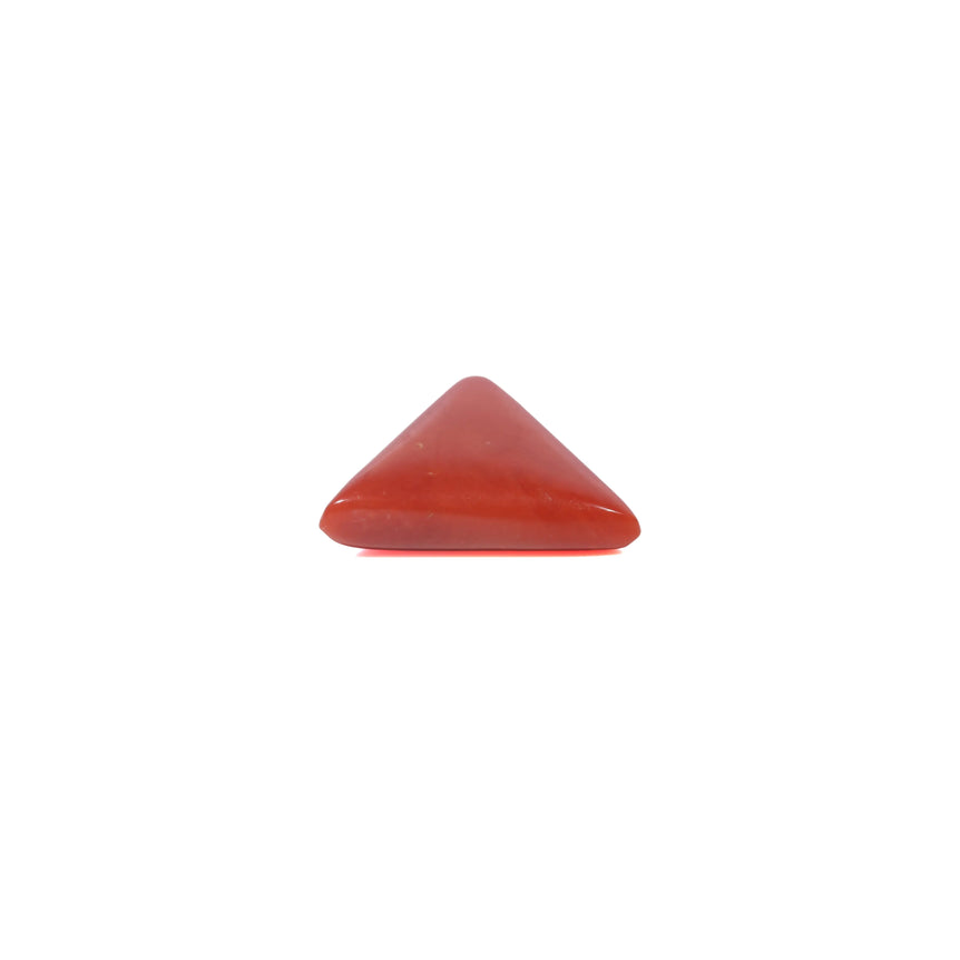 Red Coral - 3.68 Carat