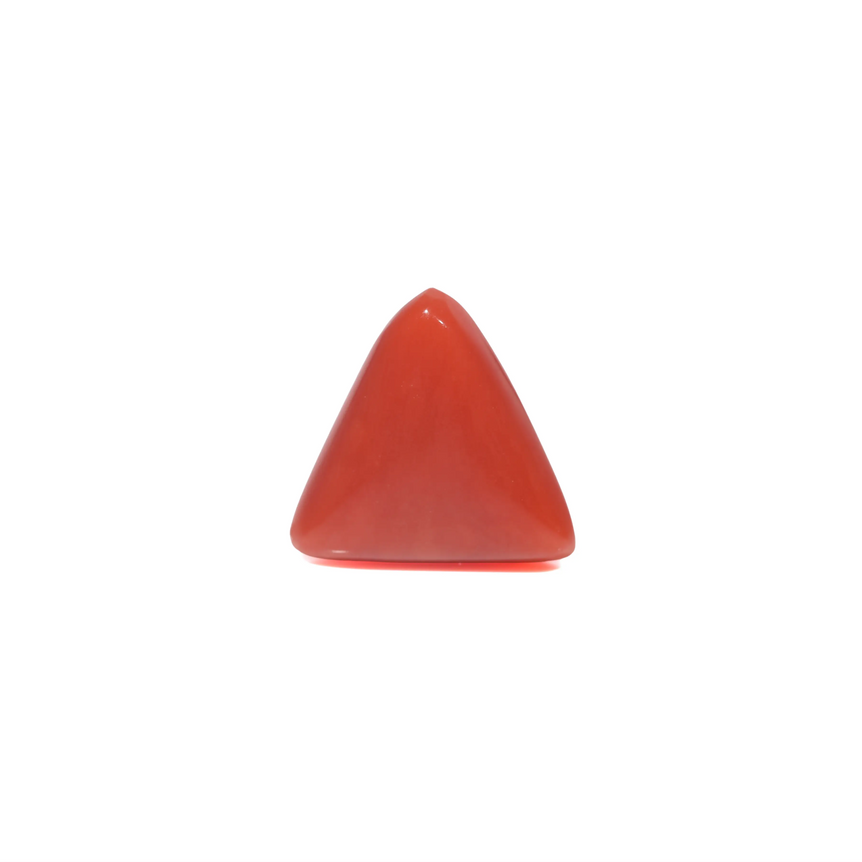 Red Coral - 3.8 Carat