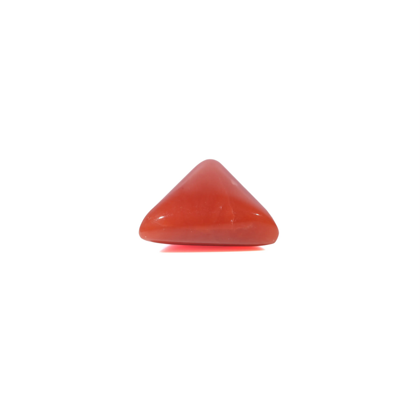 Red Coral - 3.76 Carat