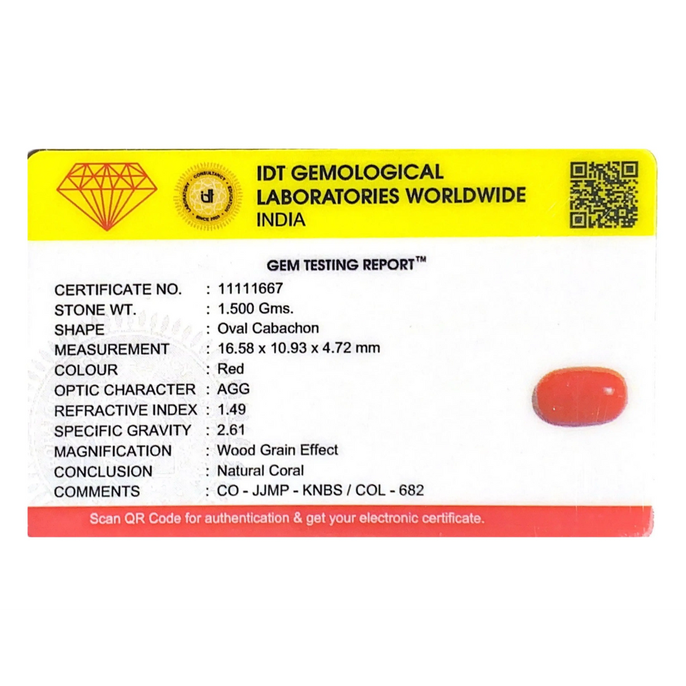 Red Coral - 7.5 Carat