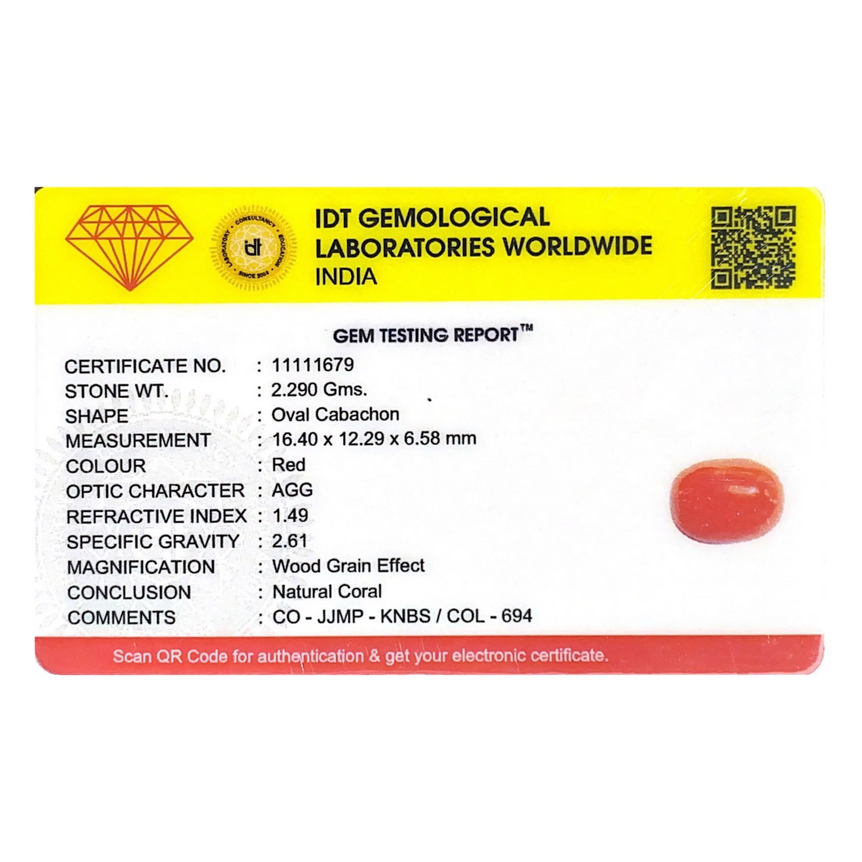 Red Coral - 11.45 Carat
