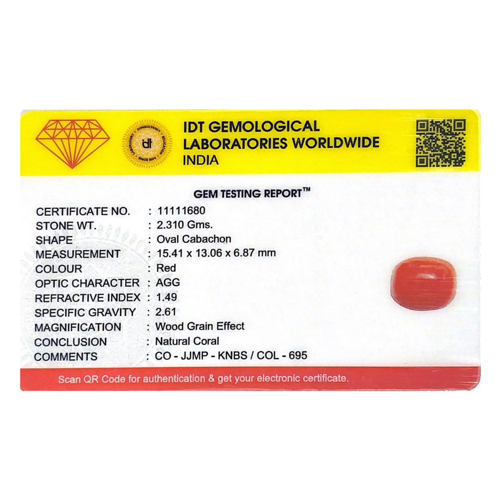 Red Coral - 11.55 Carat