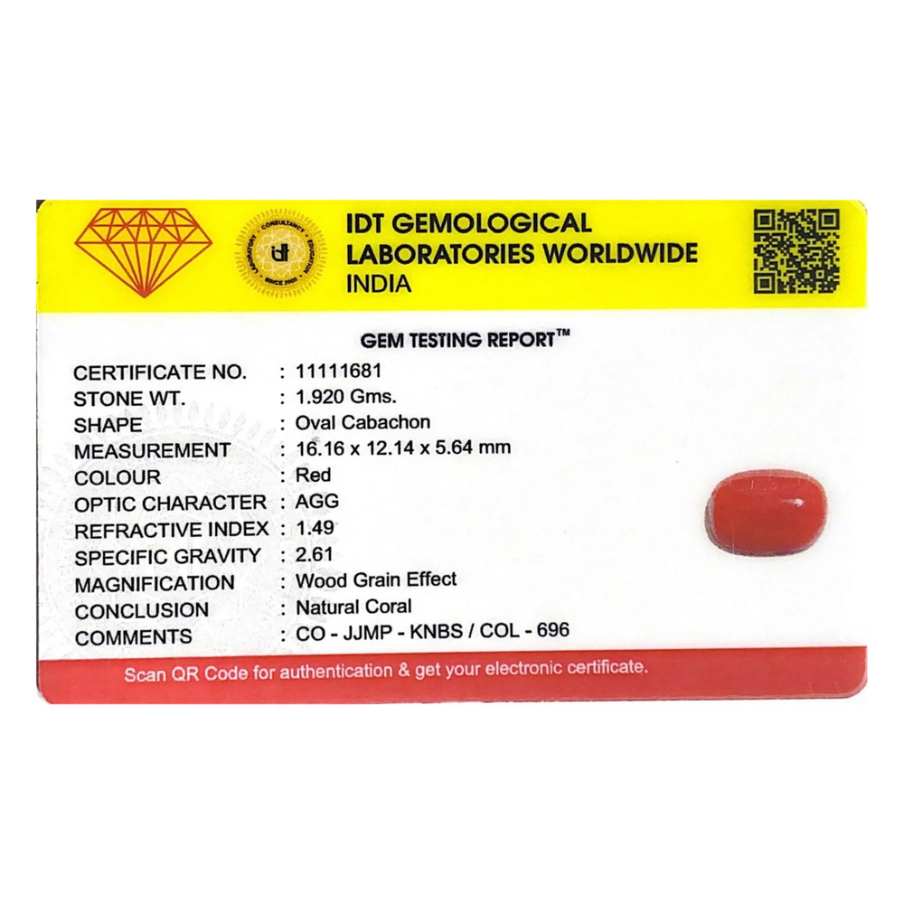 Red Coral - 9.6 Carat