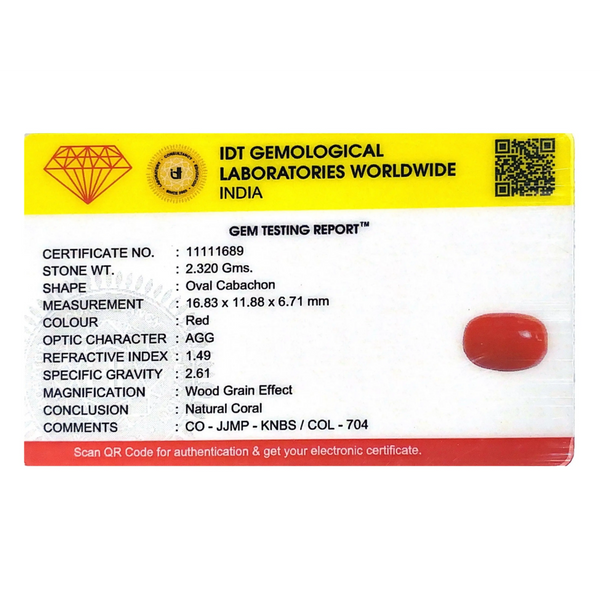 Red Coral - 11.6 Carat