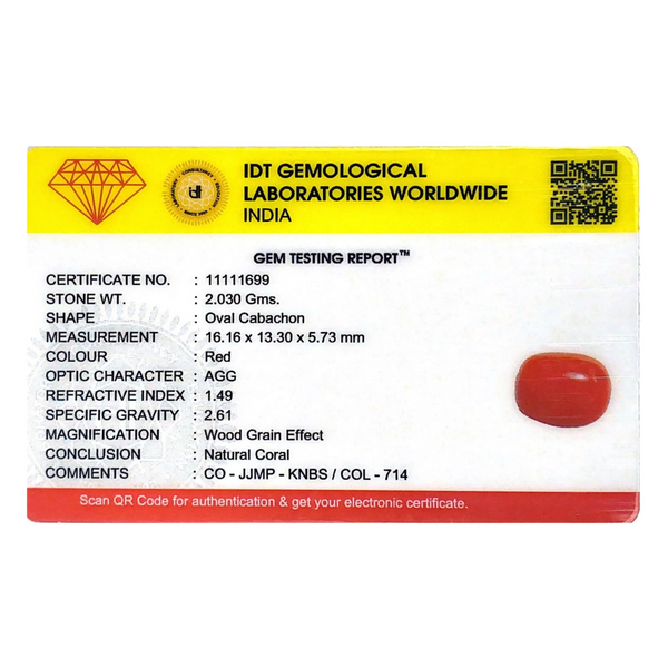 Red Coral - 10.15 Carat