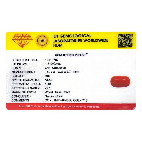 Red Coral - 8.55 Carat