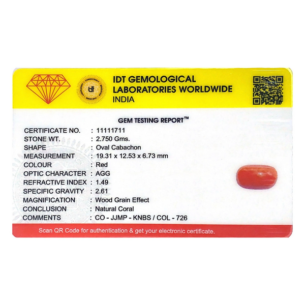 Red Coral - 13.75 Carat