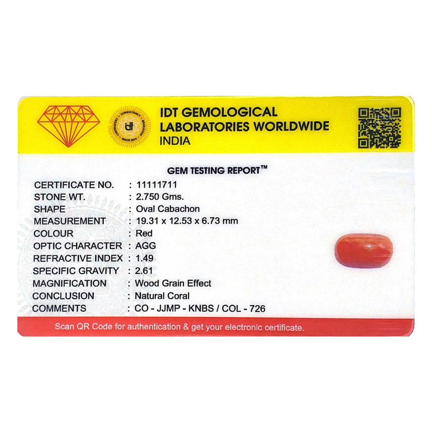 Red Coral - 13.75 Carat