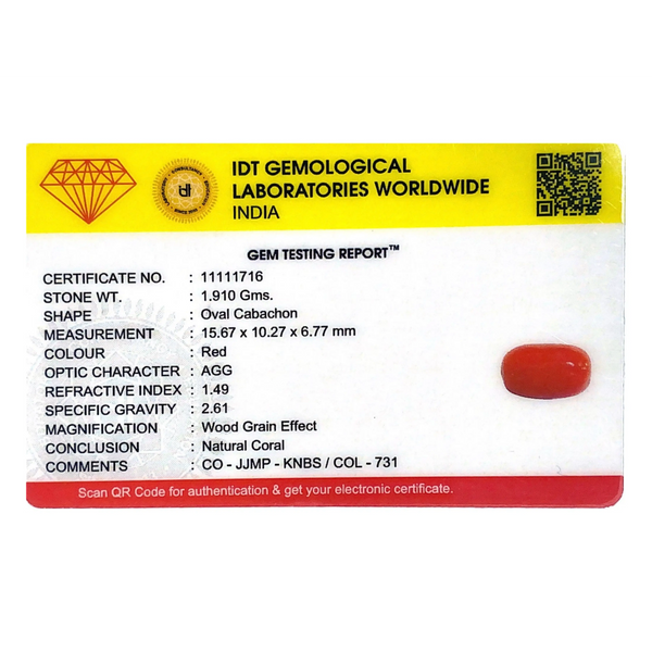 Red Coral - 9.55 Carat