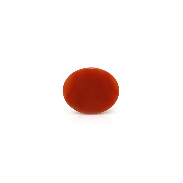Japanese Red Coral - 2.25 Carat