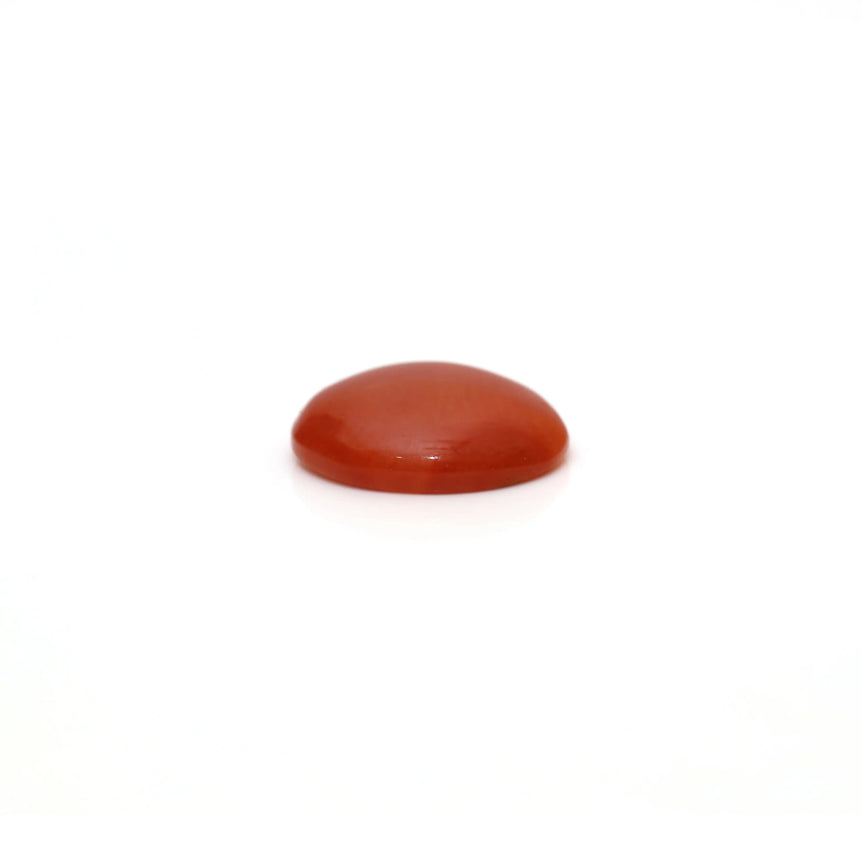 Japanese Red Coral - 2.25 Carat
