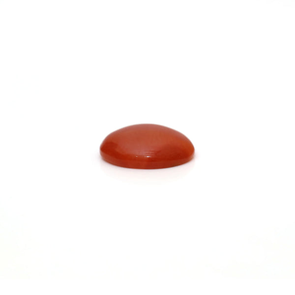Japanese Red Coral - 2.25 Carat