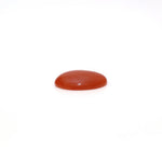 Japanese Red Coral - 2.85 Carat