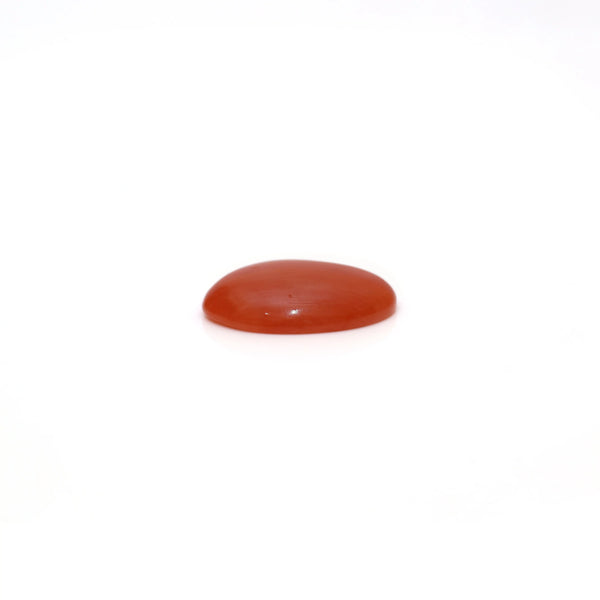 Japanese Red Coral - 2.85 Carat