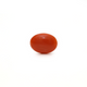 Japanese Red Coral - Moonga - 2.6 Carat - Pramogh