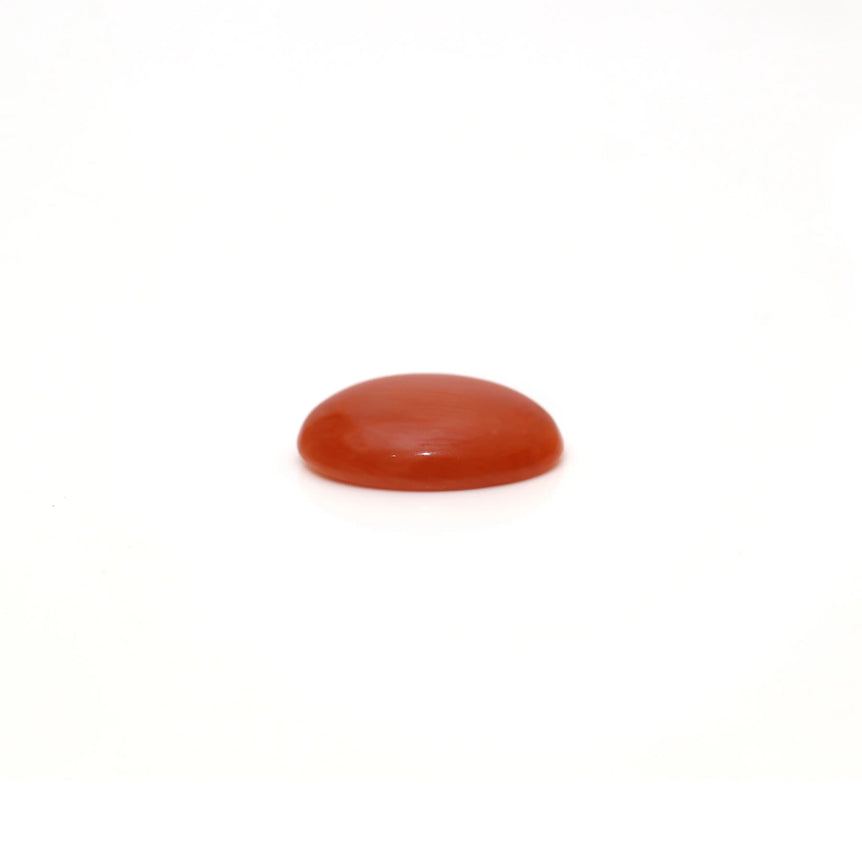 Japanese Red Coral - 2.6 Carat