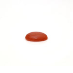 Japanese Red Coral - 2.6 Carat