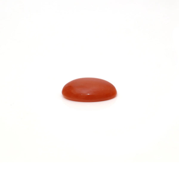 Japanese Red Coral - 2.6 Carat