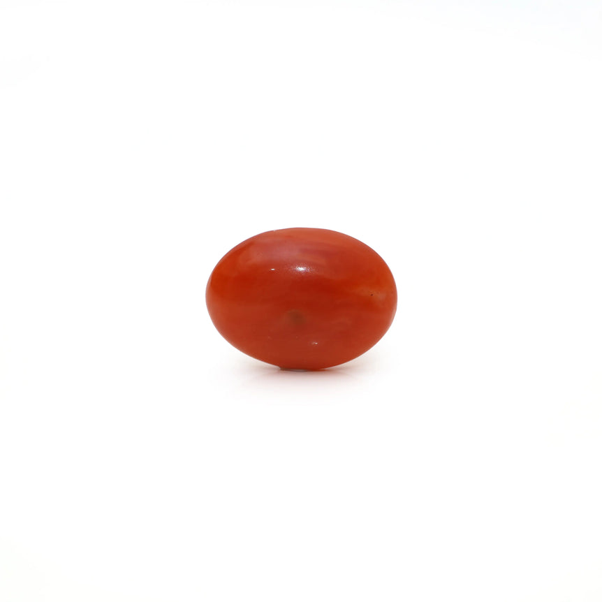 Japanese Red Coral - Moonga - 3.05 Carat - Pramogh