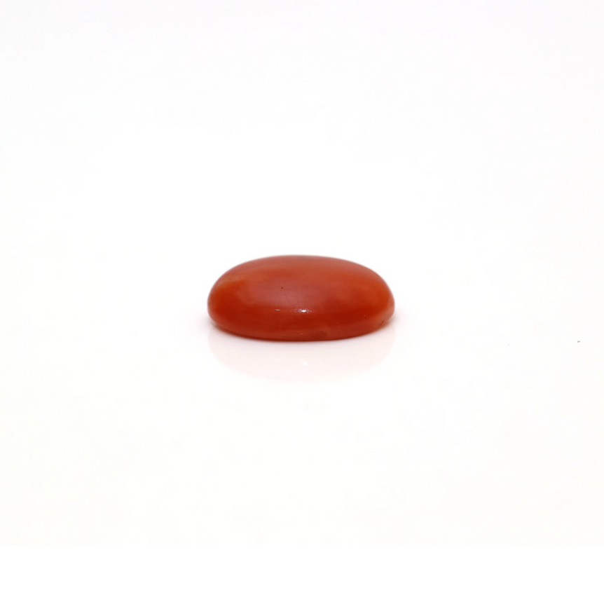 Japanese Red Coral - 3.05 Carat