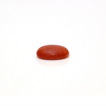 Japanese Red Coral - 3.05 Carat