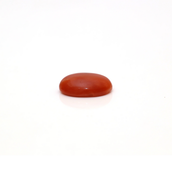 Japanese Red Coral - 3.05 Carat