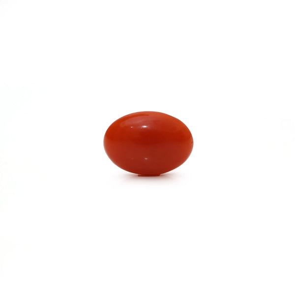 Japanese Red Coral - Moonga - 2.83 Carat - Pramogh