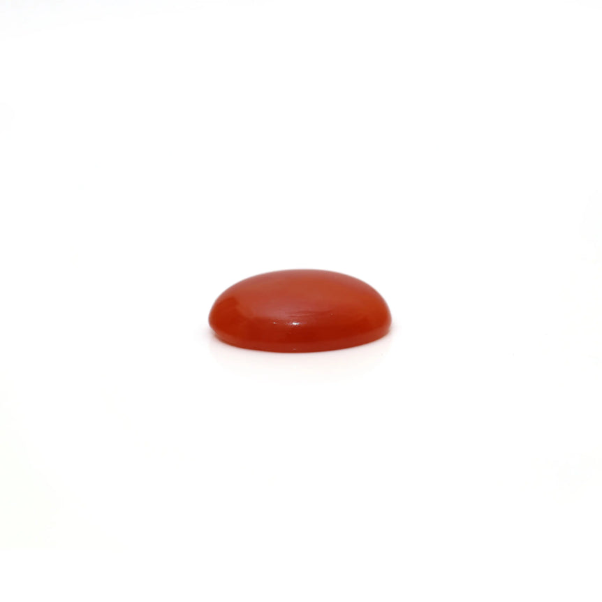 Japanese Red Coral - 2.83 Carat