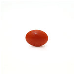 Japanese Red Coral - Moonga - 2.8 Carat - Pramogh
